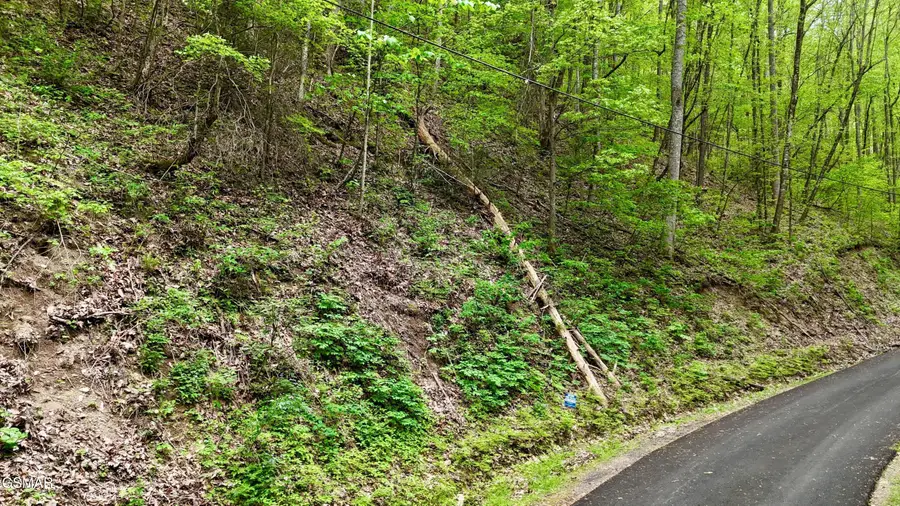 Lot 27 Black Walnut Flats Road, Sevierville, TN 37876 - #3