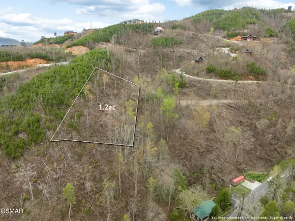 0 Long Branch Road, Gatlinburg, TN 37738