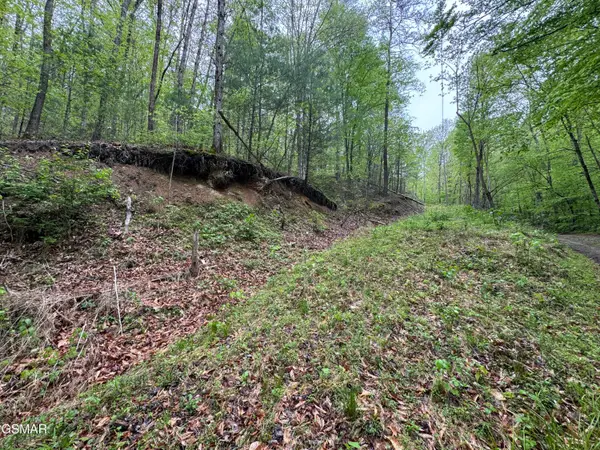 376 Summer House Hollow Road, Del Rio, TN 37727