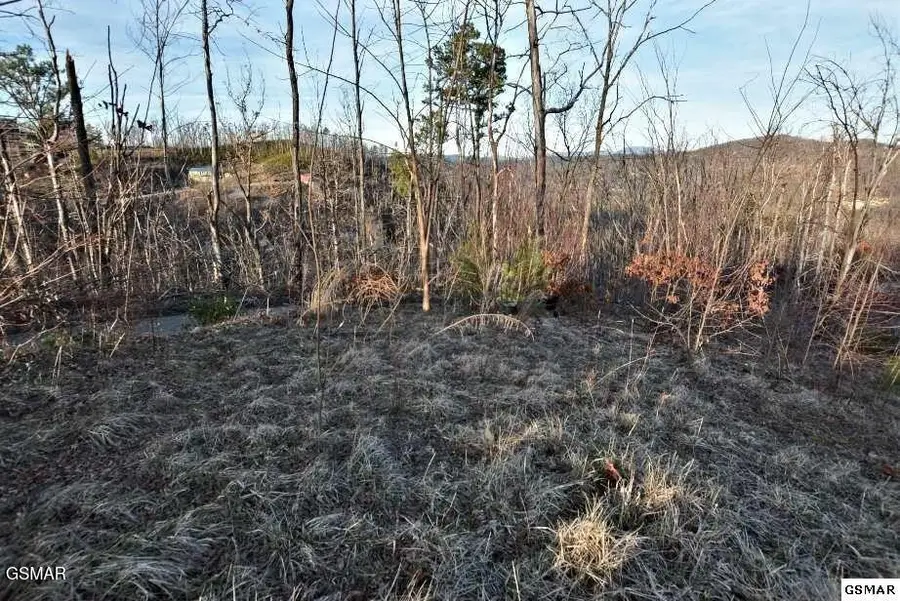 429 Red Hawk Way, Gatlinburg, TN 37738 - Image #3