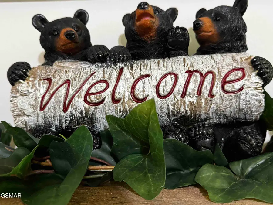 653 Oaks View Court #Adalynns Retreat, Pigeon Forge, TN 37863 - Image #2