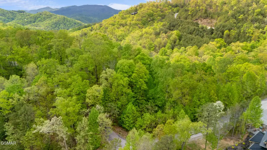 Lot 66E Redtail Road, Sevierville, TN 37862 - #3