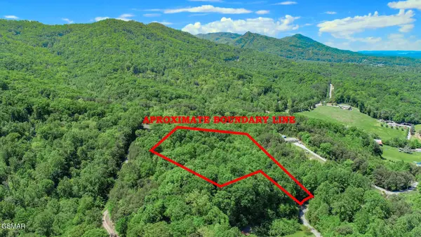 Par 87.03 Overview Way, Newport, TN 37821