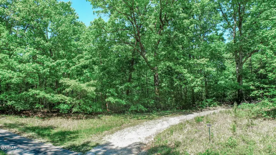 Par 87.03 Overview Way, Newport, TN 37821 - Image #2