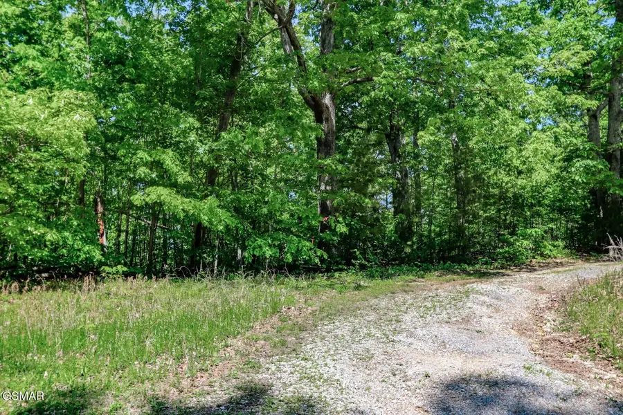 Par 87.03 Overview Way, Newport, TN 37821 - Image #3