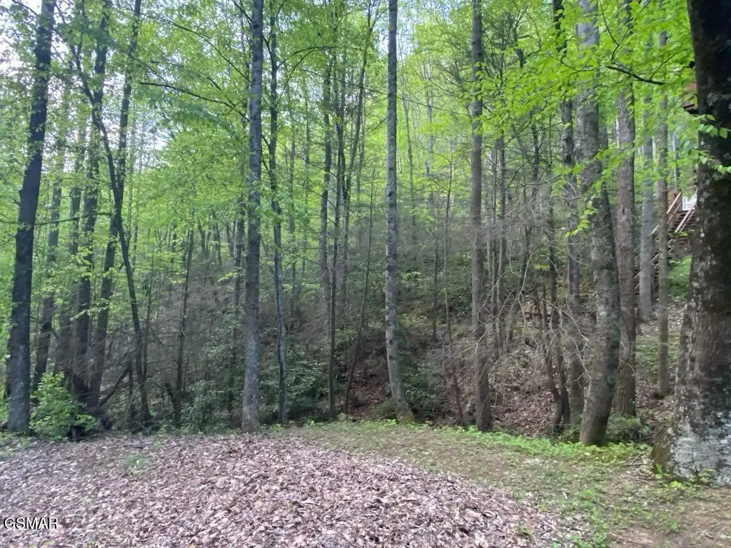 Lot 26 Alpine Drive, Sevierville, TN 37876 - Image #1