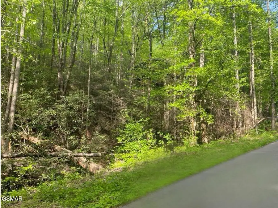 Lot 26 Alpine Drive, Sevierville, TN 37876 - Image #2