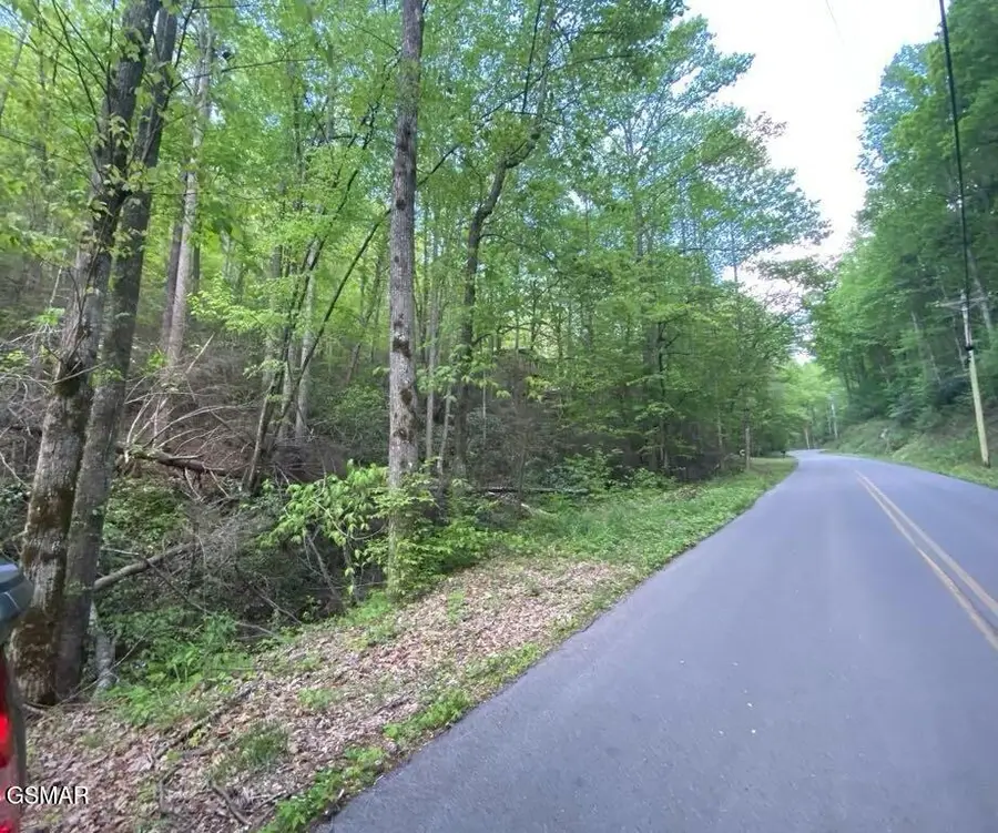 Lot 26 Alpine Drive, Sevierville, TN 37876 - Image #3