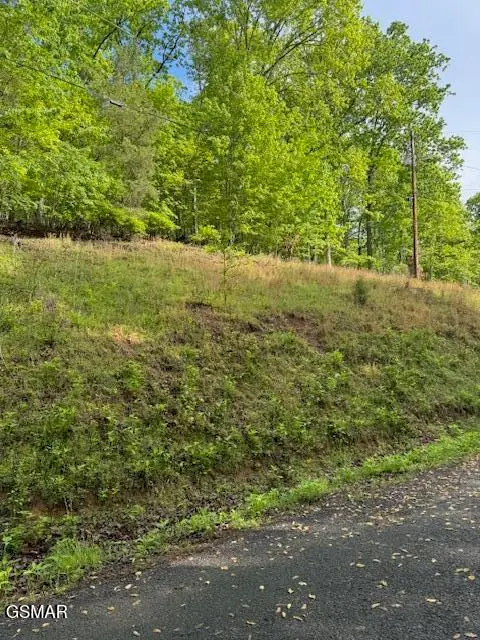 Lot 543 Rockview Drive, Spring City, TN 37381 - Image #2