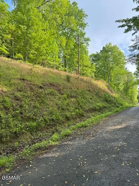 Lot 543 Rockview Drive, Spring City, TN 37381 - Image #3
