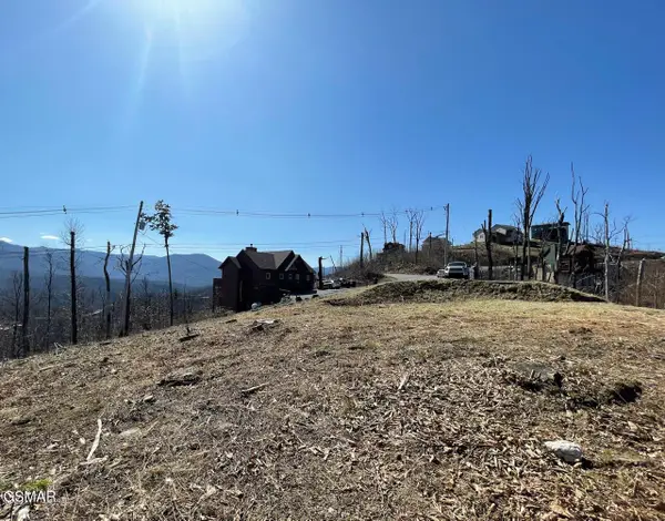 730 Wiley Oakley Drive, Gatlinburg, TN 37738