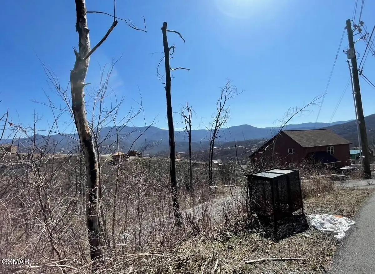 907 Wiley Oakley Drive, Gatlinburg, TN 37738 - Image #1