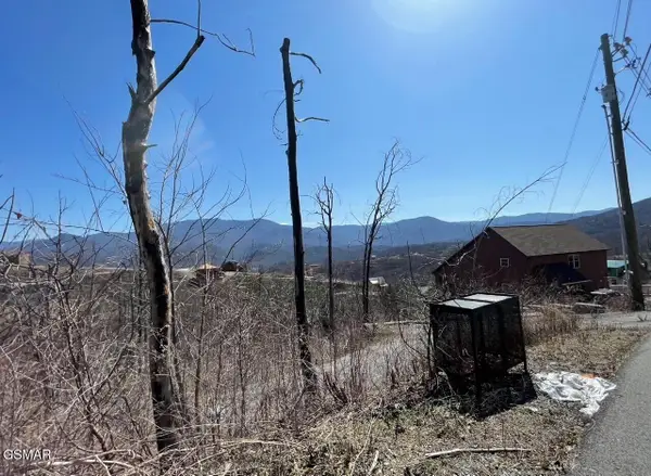 907 Wiley Oakley Drive, Gatlinburg, TN 37738