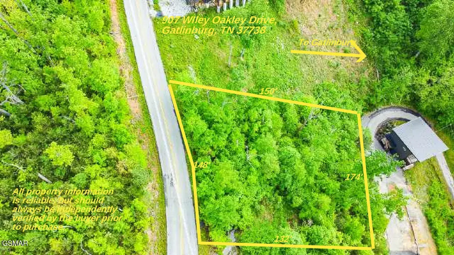 907 Wiley Oakley Drive, Gatlinburg, TN 37738 - Image #2