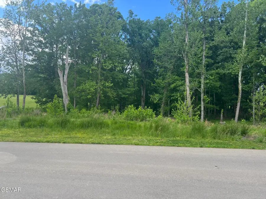 Lots 25&26 Sunset Boulevard, White Pine, TN 37890 - Image #2