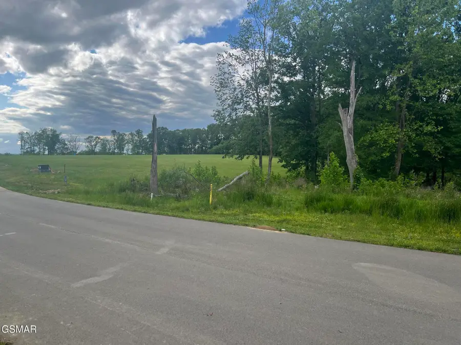 Lots 25&26 Sunset Boulevard, White Pine, TN 37890 - Image #3