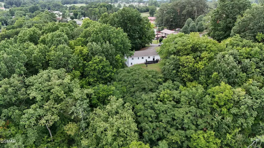 771 Commanche Drive, Newport, TN 37821 - Image #3