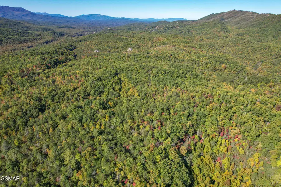 0 Branam Hollow Road Off, Gatlinburg, TN 37738 - #2