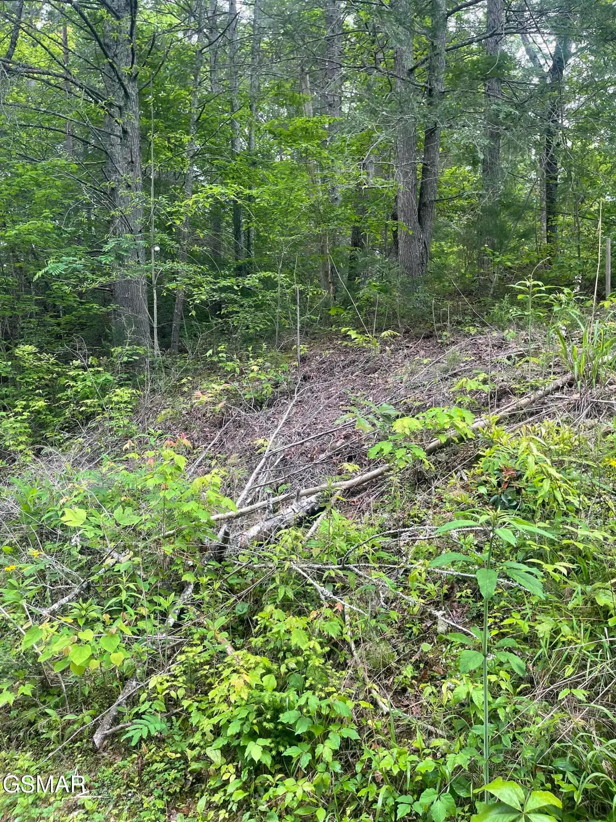 1115 Tranquility Hills Way, Cosby, TN 37722 - Image #1