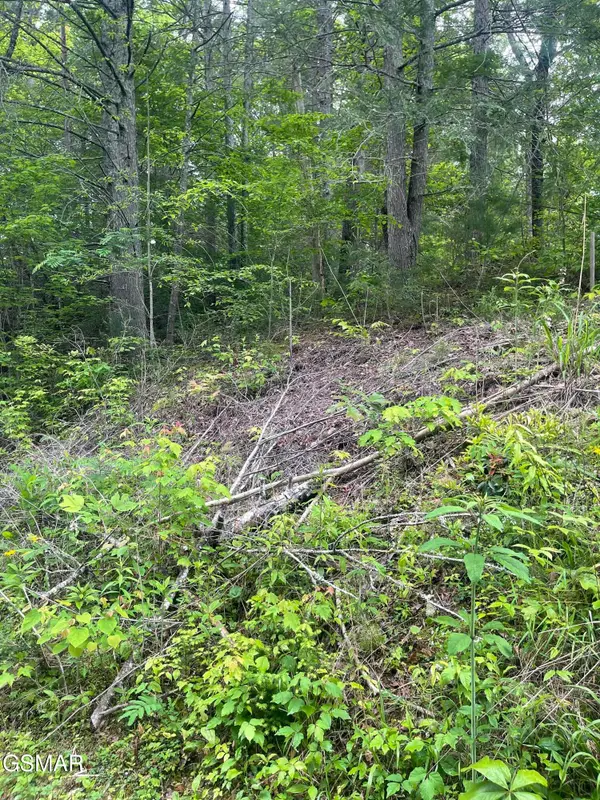 1115 Tranquility Hills Way, Cosby, TN 37722