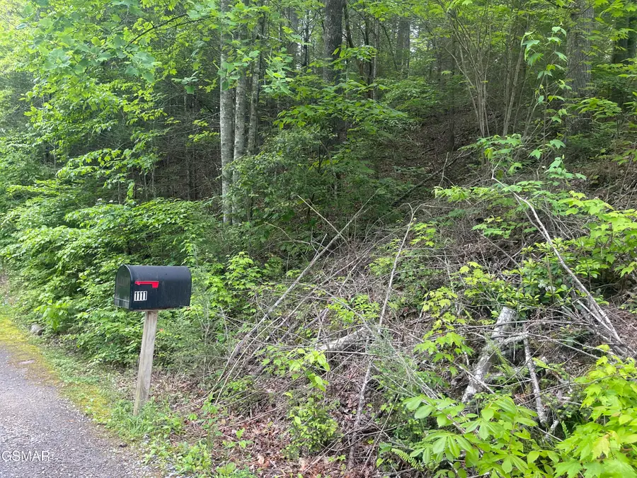 1115 Tranquility Hills Way, Cosby, TN 37722 - Image #2