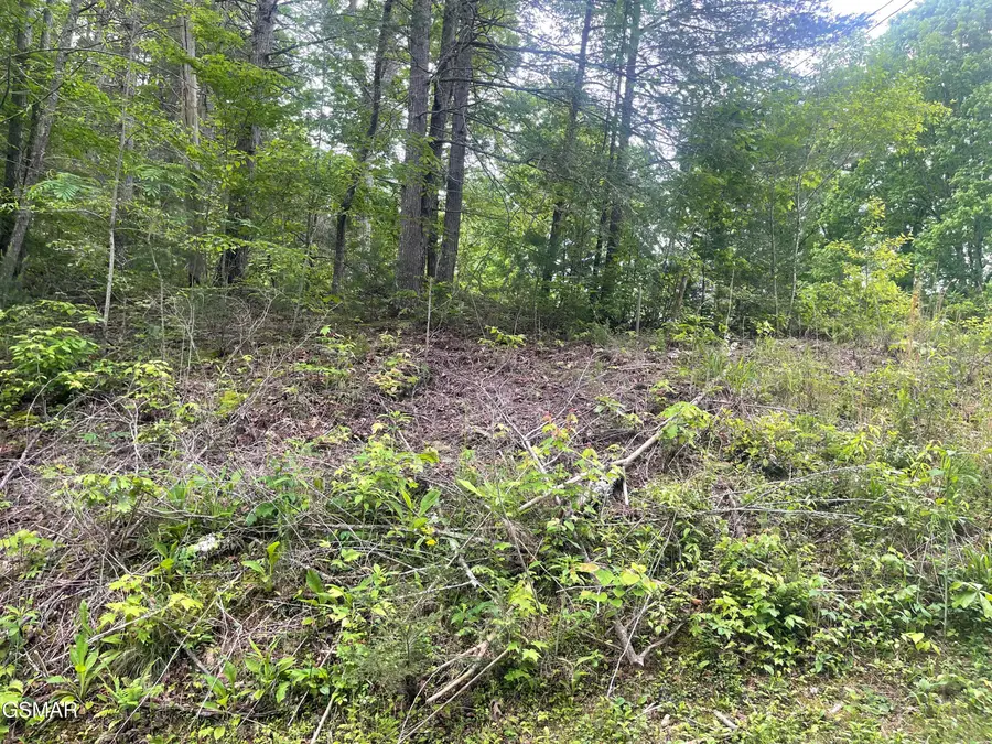 1115 Tranquility Hills Way, Cosby, TN 37722 - Image #3