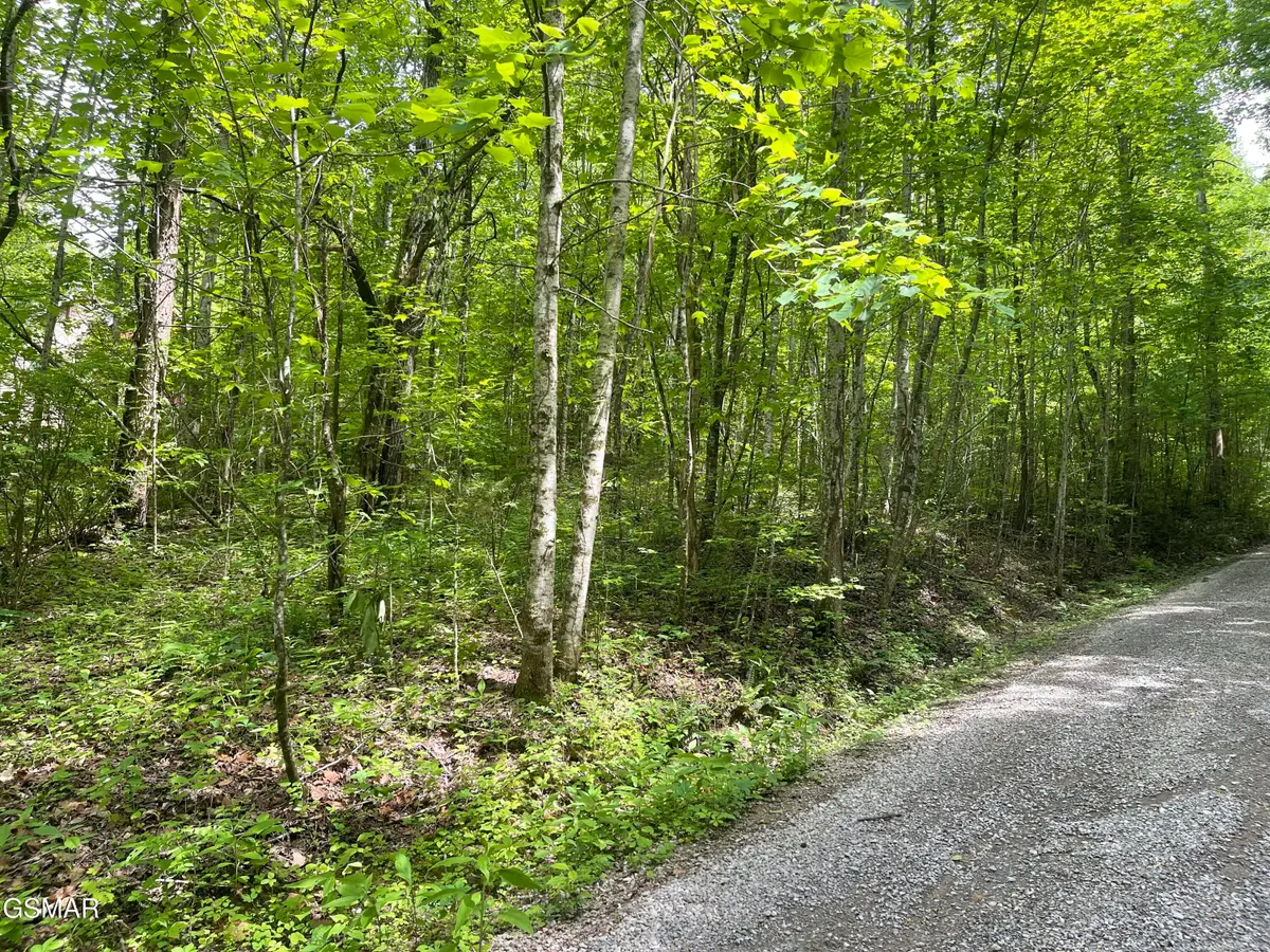 Lot 4 Walden Flats Way, Sevierville, TN 37862 - #1