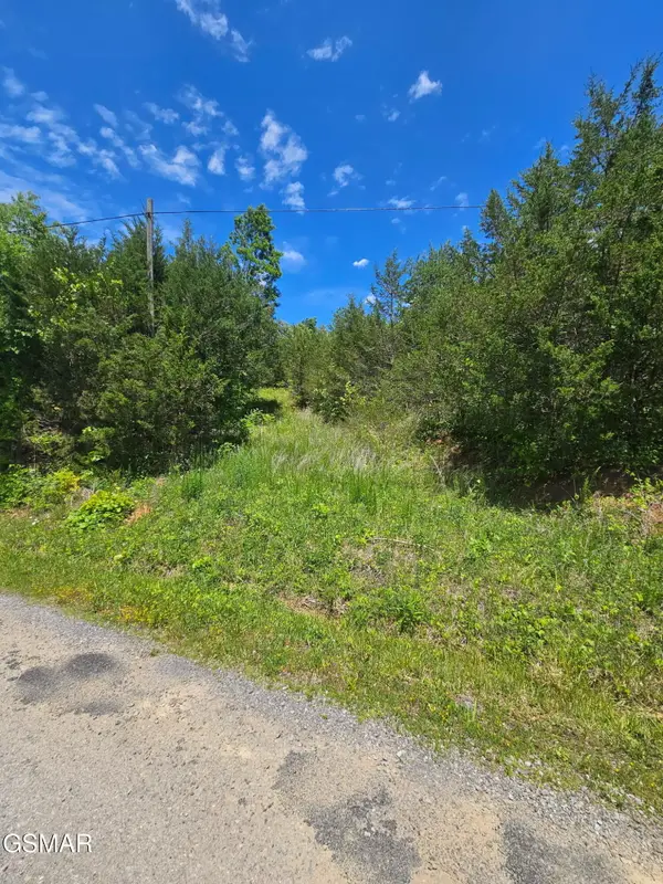 3.35 Oakwood Road, Midway, TN 37809