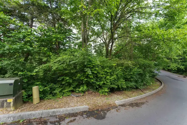 Lot 115 Alpine Mountain Way, Pigeon Forge, TN 37863