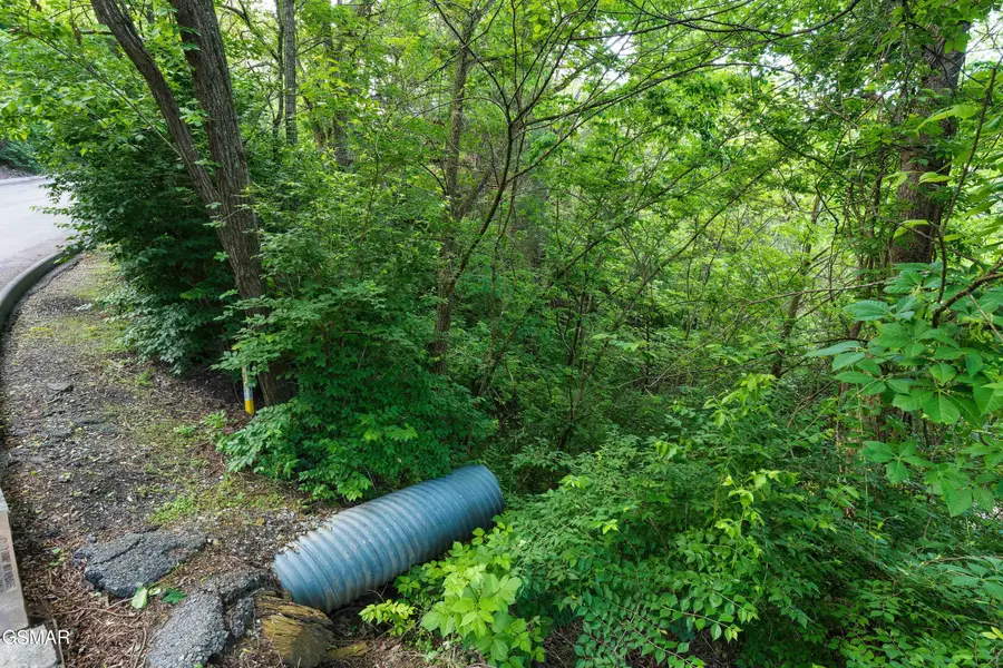 Lot 115 Alpine Mountain Way, Pigeon Forge, TN 37863 - Image #2