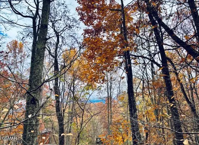 1137 Tanrac Trail, Gatlinburg, TN 37738 - Image #2