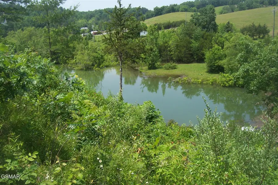 Lot 79 Blue Herring Way, Sevierville, TN 37876 - Image #2