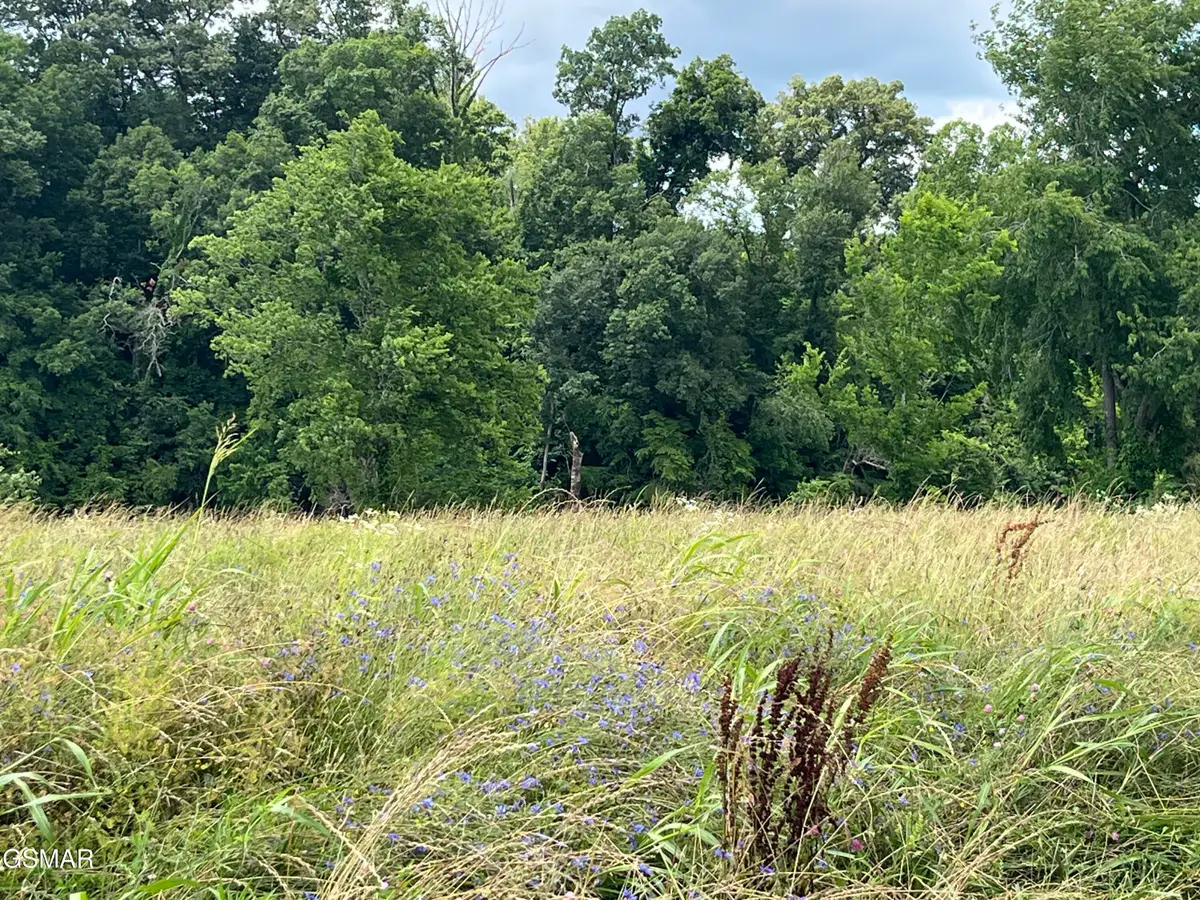 39 lot Tributary Drive, Sevierville, TN 37876 - #1