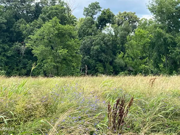 39 lot Tributary Drive, Sevierville, TN 37876