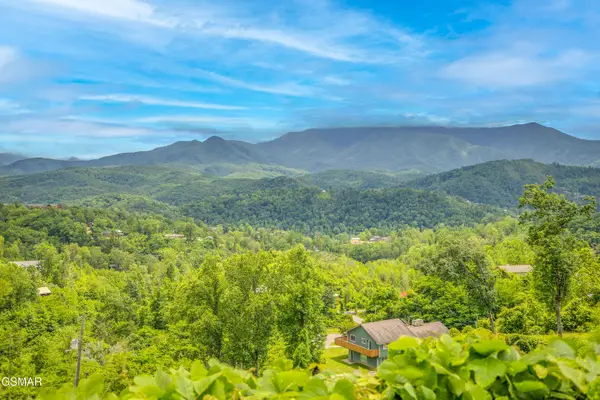 806 Beanstalk Court, Gatlinburg, TN 37738