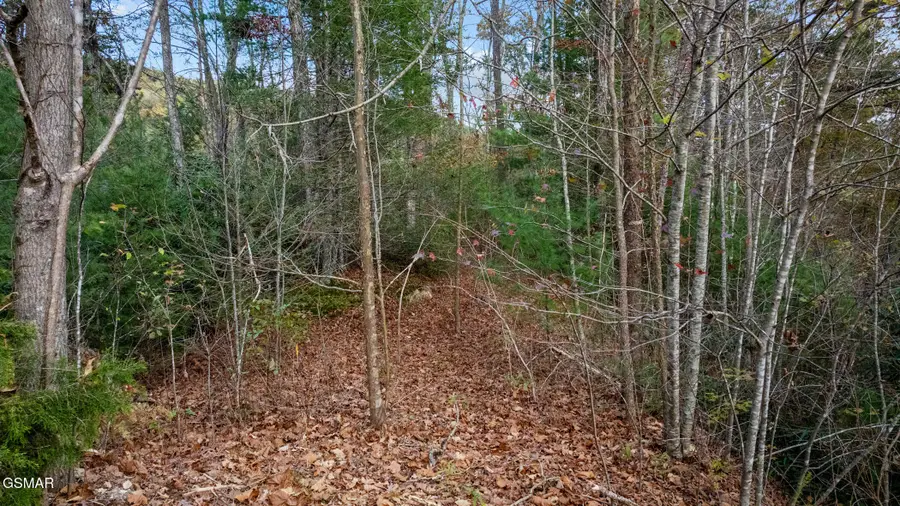 4416 Whetstone Road, Sevierville, TN 37862 - #3