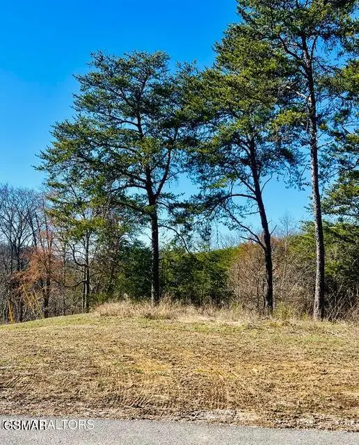 Lot 1A 2009 Scott Street, Sevierville, TN 37876
