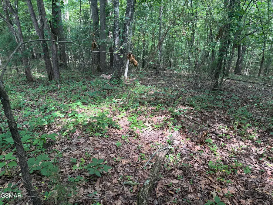 Lot 9 Red Bud Road, Newport, TN 37821 - Image #2