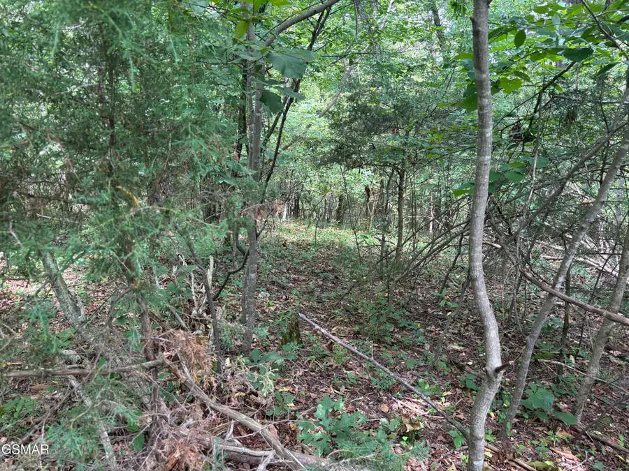 Lot 9 Red Bud Road, Newport, TN 37821 - Image #3