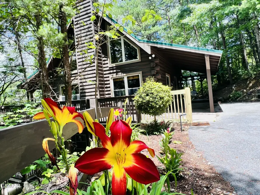 2527 Raccoon Hollow Way, Sevierville, TN 37862 - #3