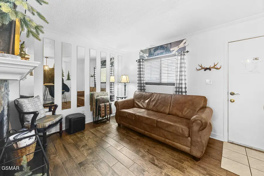 685 River Rd #214, Gatlinburg, TN 37738 - Image #3