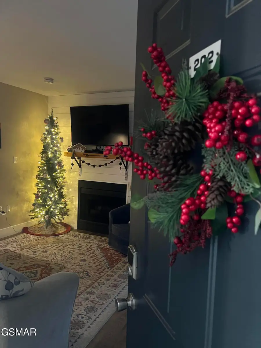 354 E Holly Ridge Road #UNIT 202, Gatlinburg, TN 37738 - Image #2