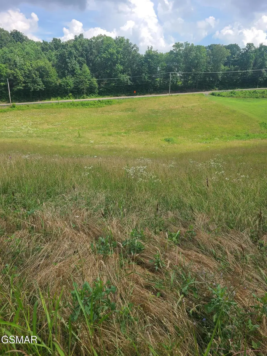 213 Washita Lane, Rutledge, TN 37861 - Image #2