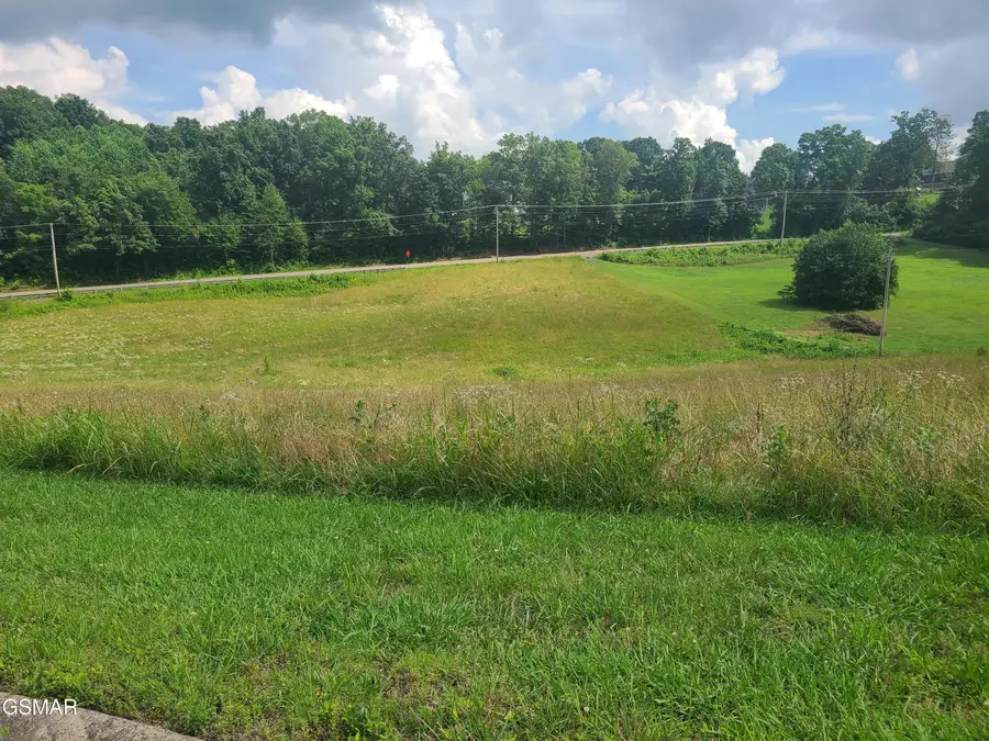 213 Washita Lane, Rutledge, TN 37861 - Image #3