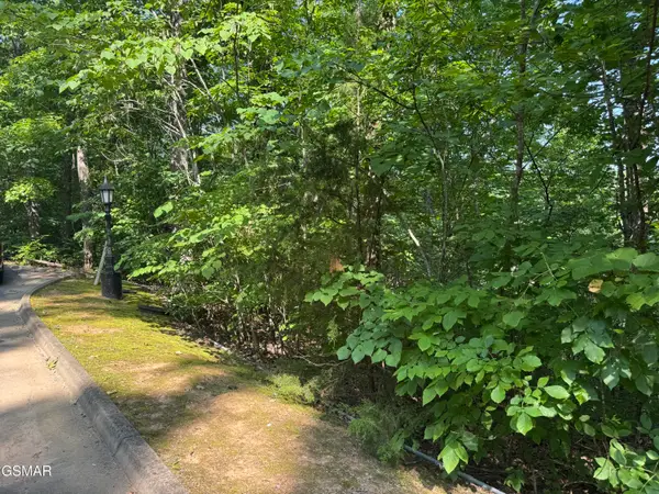 2432 Hawks Nest Way, Sevierville, TN 37862