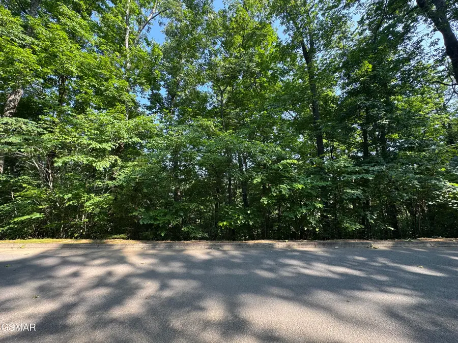 2432 Hawks Nest Way, Sevierville, TN 37862 - Image #3