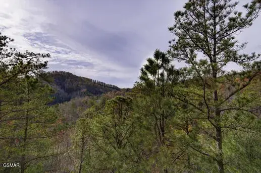 1340 Parkview Vista Way, Pigeon Forge, TN 37863 - #3