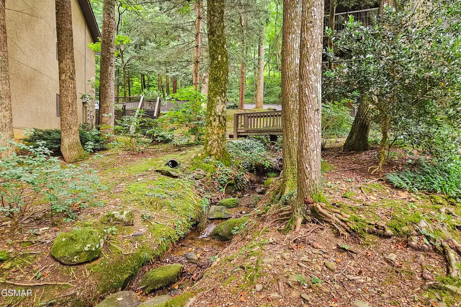 1235 Ski Mountain Road #625, Gatlinburg, TN 37738 - Image #3