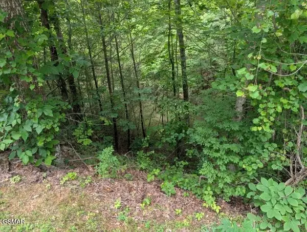 lot 04 Ski Mtn Rd, Gatlinburg, TN 37738