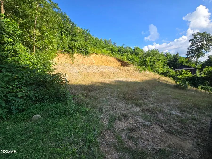 Lot 126 Elm Road, Gatlinburg, TN 37738 - Image #2
